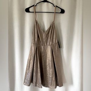 LULUS Metalic Skater Dress Size Small New w/ tags